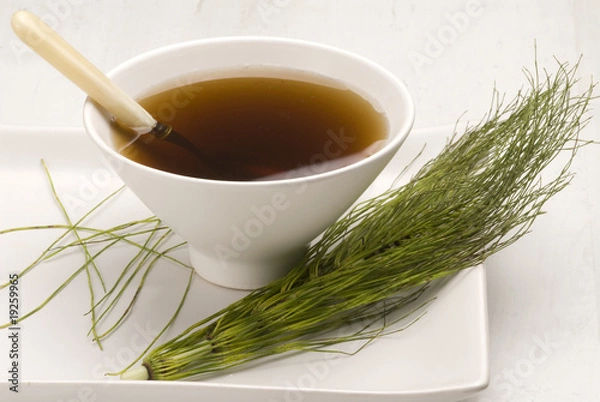 Obraz Herbal tea. Horsetail.