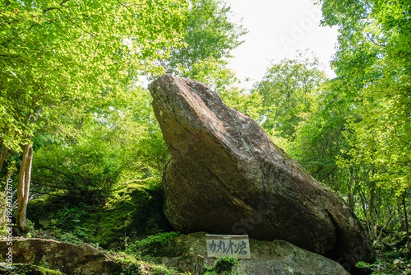 Obraz 少し険しい猪名川町大野山岩めぐり