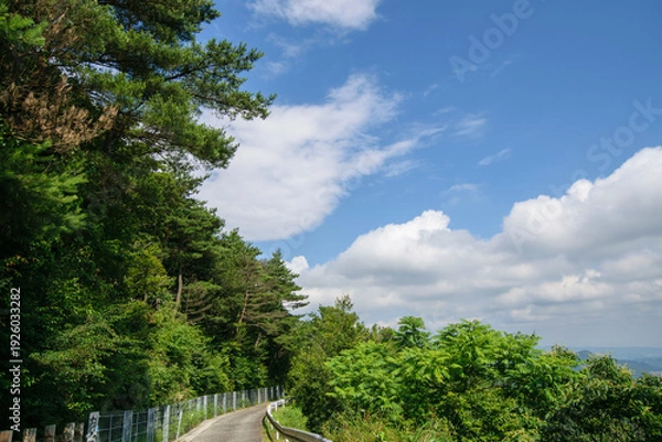 Obraz 少し険しい猪名川町大野山岩めぐり