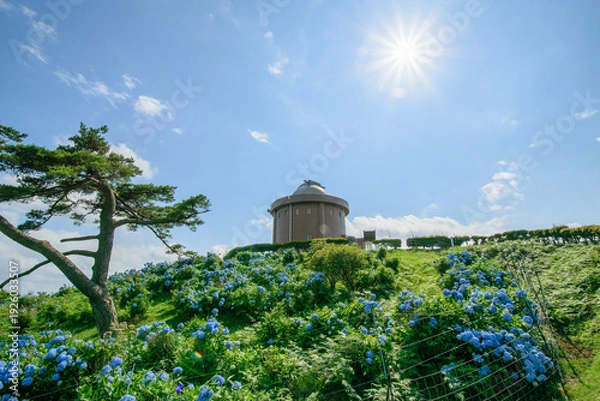 Obraz 少し険しい猪名川町大野山