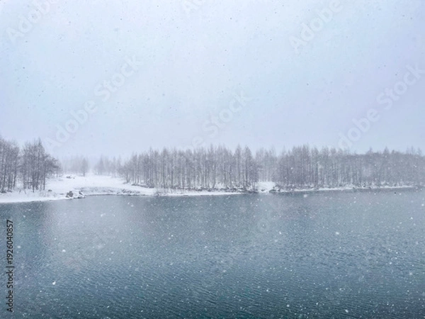 Obraz 雪が降る池