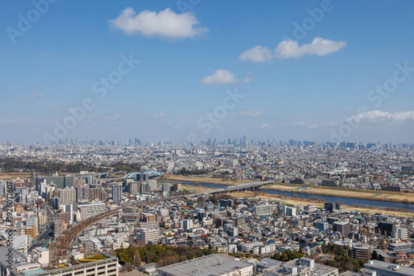 Obraz 武蔵小杉から多摩川と東京都心を望むパノラマ風景