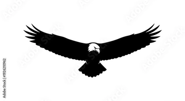 Obraz Bald Eagle Silhouette
