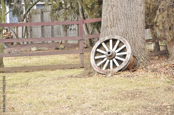 Obraz Cogwheel near tree