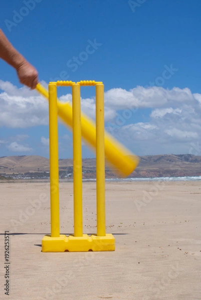Obraz Cricket bat and wicket, beach cricket