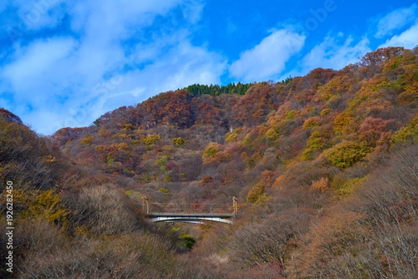 Obraz 秋の群馬県安中市のめがね橋(旧線橋梁)から北側に見る(廃線)碓氷峠新線下り線