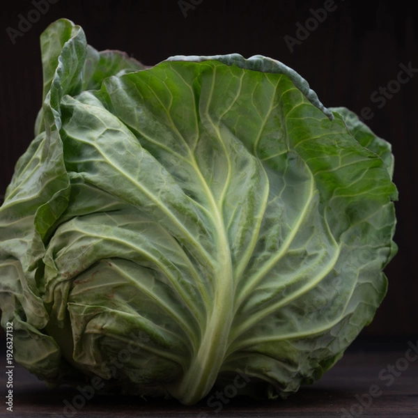 Obraz キャベツ