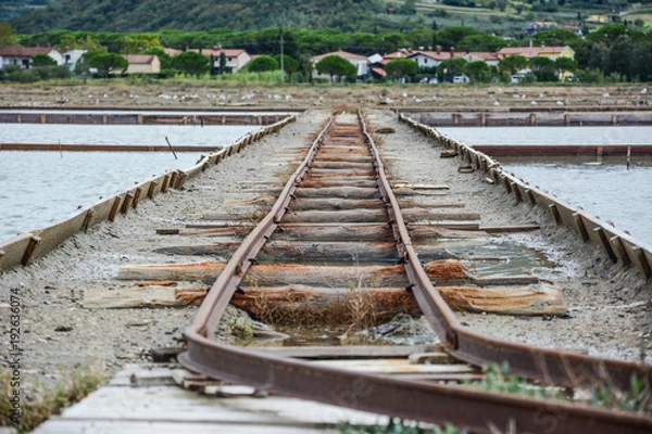 Obraz Path to freedom