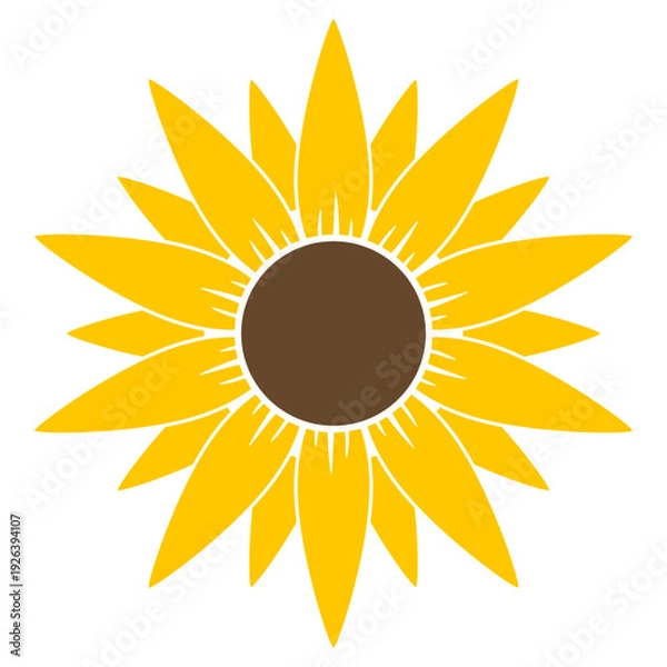 Fototapeta sunflower vector illustration