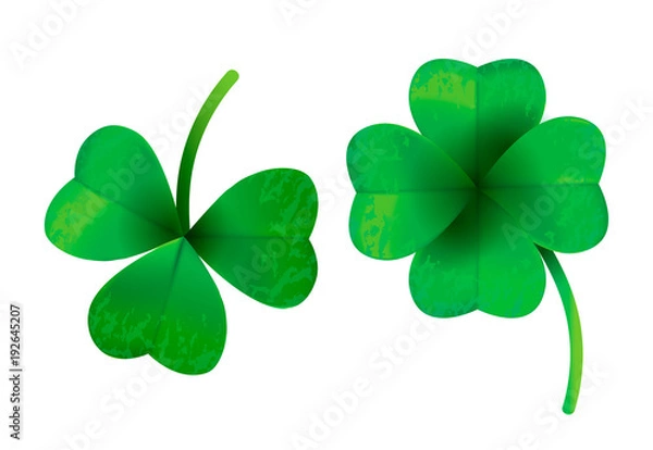 Fototapeta Four leaf clover isolated on white background, vector illustration for St. Patrick's day.