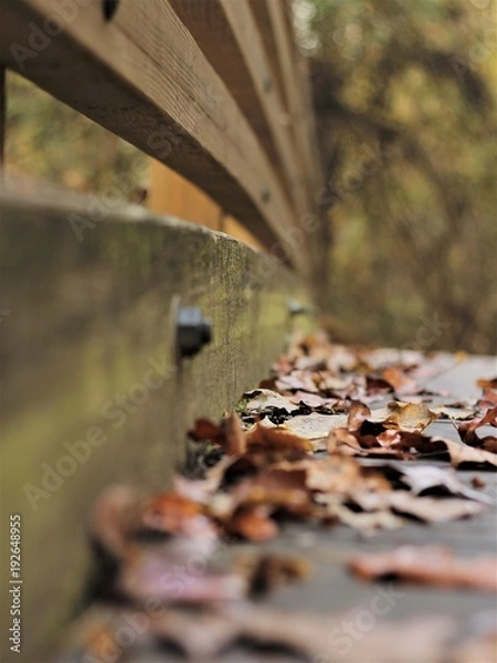 Obraz Fall Time Colors