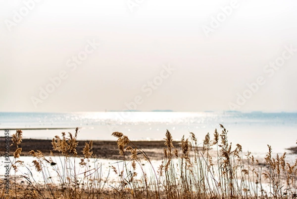 Obraz 갈대와 바다 