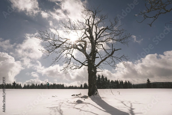 Obraz Czech winter in Ore mountains