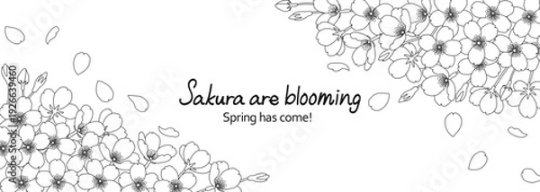 Obraz 白地に繊細な線で描いた桜の花のフレームイラスト