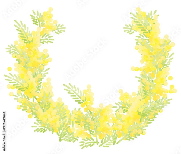 Fototapeta ゆるいミモザの上が空いている輪のイラスト