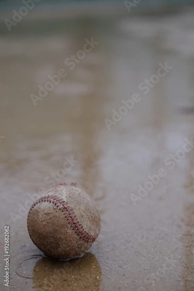 Obraz 雨が降るグラウンドに落ちている野球ボール