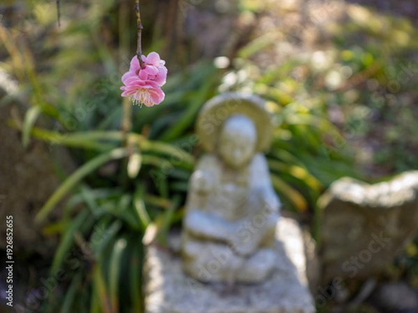 Obraz 春の祈り。岡寺の静寂に咲く一輪の紅梅