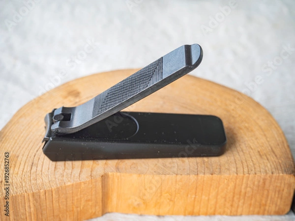 Obraz 凛と佇む、黒の造形美