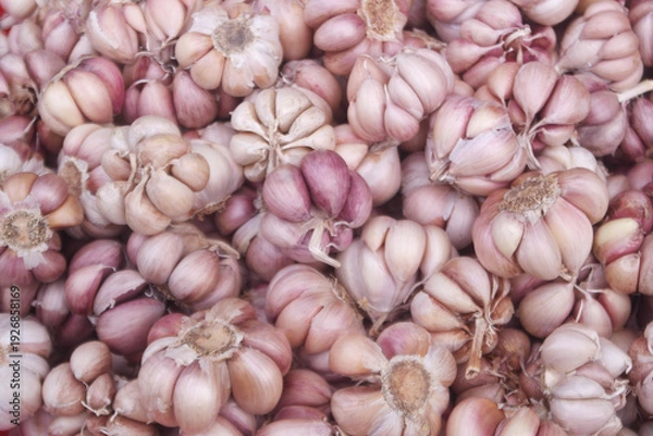 Obraz Many garlic cloves as background