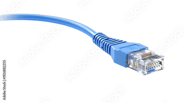 Obraz Blue Ethernet cable connector