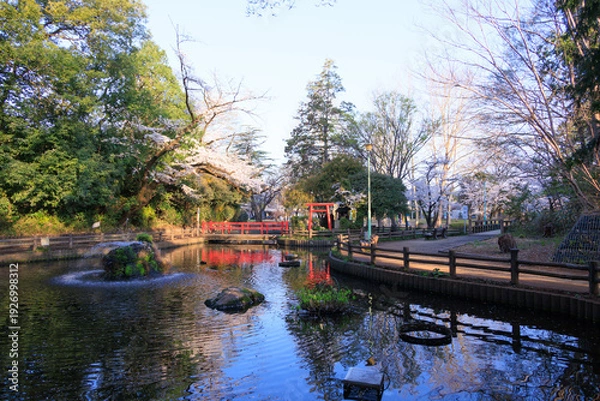 Obraz 与野公園の弁天池の風景