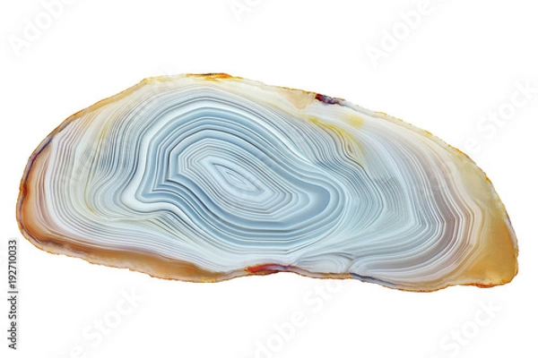 Fototapeta Amazing Banded Agate Crystal cross section cut isolated on white background. Natural light translucent agate crystal surface, Gray abstract structure slice mineral stone macro closeup