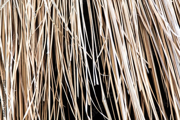 Obraz Thatched roof texture
