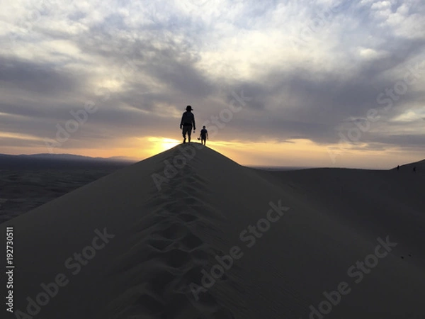 Obraz モンゴル ゴビ砂漠