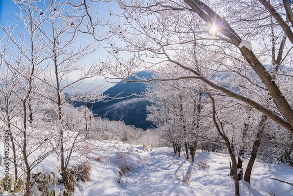 Obraz 樹氷輝く赤城黒檜山スノーハイク
