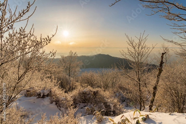 Obraz 樹氷の赤城山地蔵岳登山道から朝日に染まる樹氷と完全氷結の小沼
タイトル変更