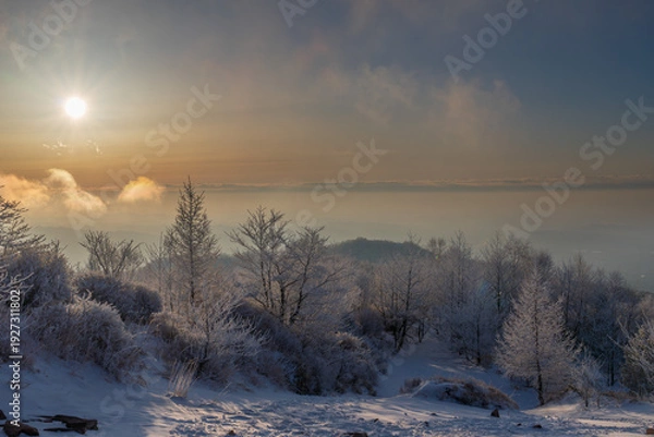 Obraz 朝日に輝く樹氷の赤城山地蔵岳スノーハイク