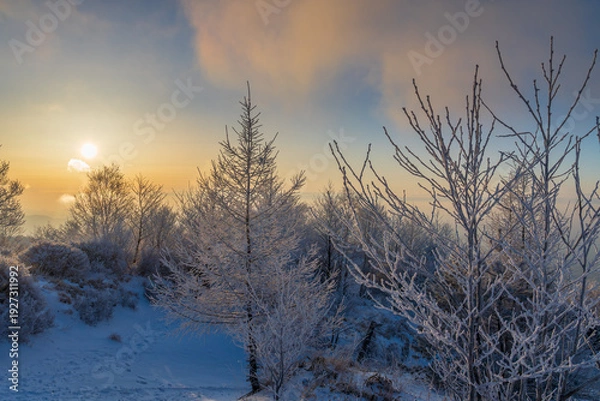 Obraz 朝日に輝く樹氷の赤城山地蔵岳スノーハイク