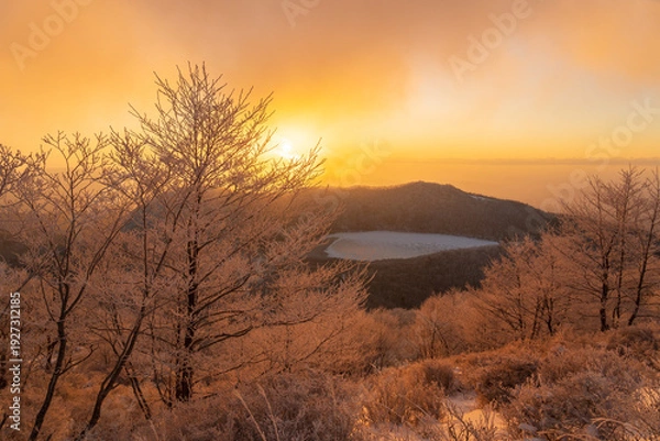 Obraz 樹氷の赤城山地蔵岳登山道から朝日に染まる樹氷と完全氷結の小沼
タイトル変更