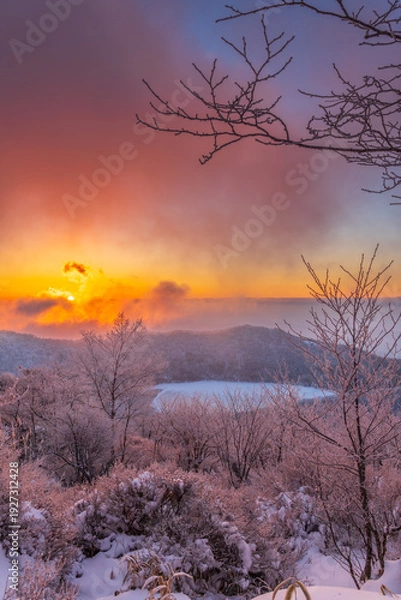 Obraz 樹氷の赤城山地蔵岳登山道から朝日に染まる樹氷と完全氷結の小沼
タイトル変更