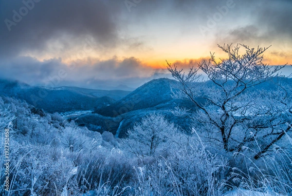 Obraz 朝日に輝く樹氷の赤城山地蔵岳スノーハイク