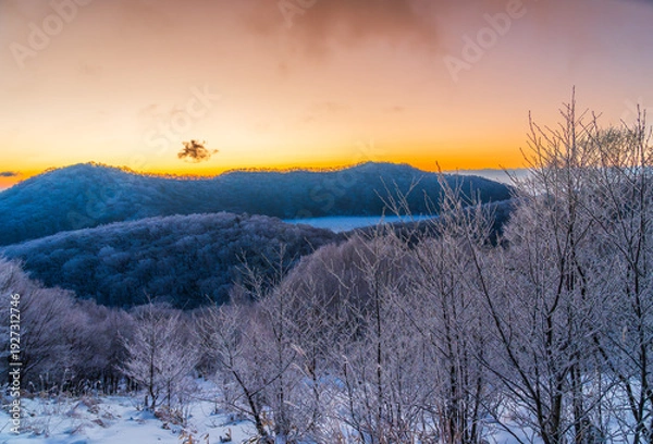 Obraz 樹氷の赤城山地蔵岳登山道から朝日に染まる樹氷と完全氷結の小沼
タイトル変更