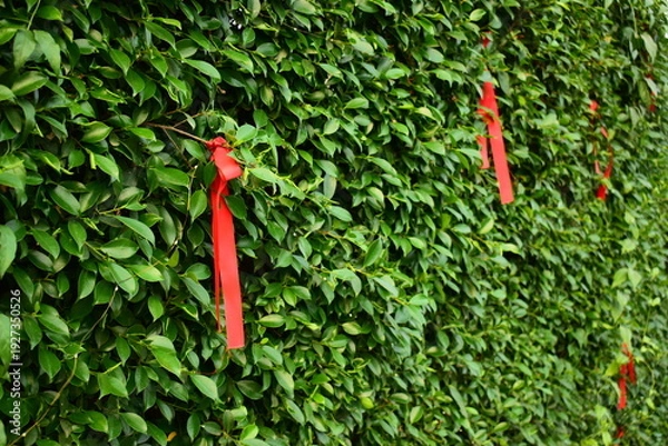 Obraz red ribbon on green leaf background