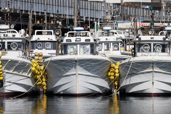 Obraz 静岡県・由比漁港に密集して係留された白い漁船群