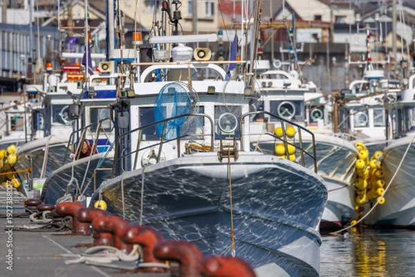 Obraz 静岡県・由比漁港に密集して係留された白い漁船群