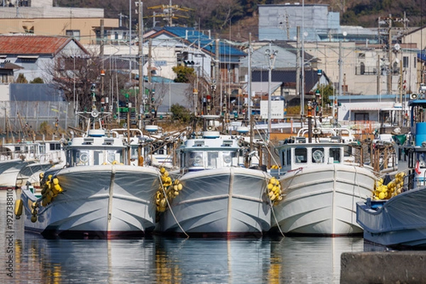Obraz 静岡県・由比漁港に密集して係留された白い漁船群