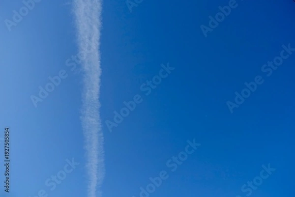 Obraz 飛行機雲と青空