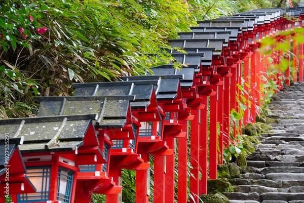 Obraz 京都貴船神社の朱塗りの灯籠が立ち並ぶ参道の石段