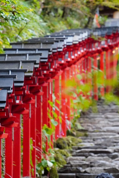 Obraz 京都貴船神社の朱塗りの灯籠が立ち並ぶ参道の石段