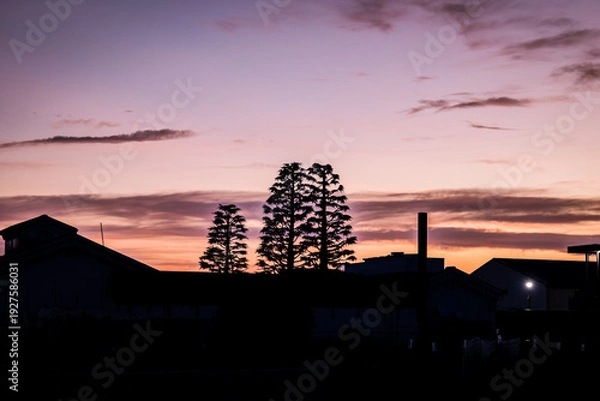 Obraz 夕暮れの街並み