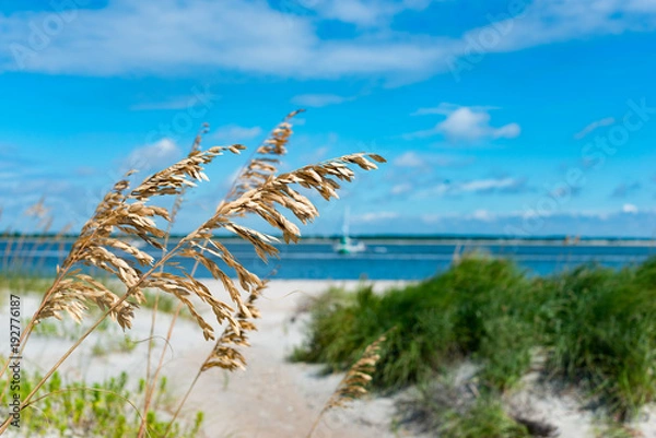 Obraz ocean scenes and landscapes 