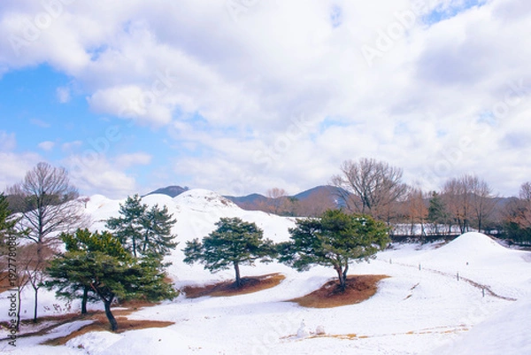 Obraz 겨울 불로동고분군 언덕