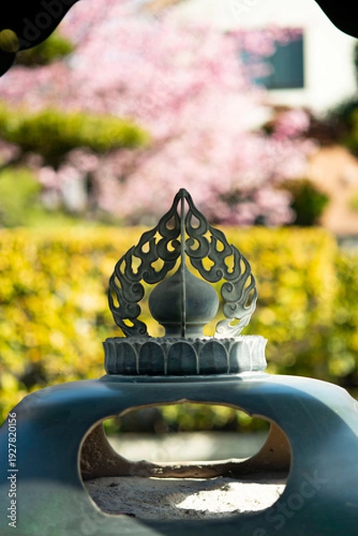 Obraz 鎌倉26223　本覚寺4　河津桜