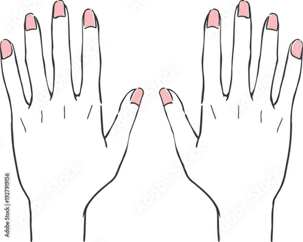 Obraz 女性の両手　ベクター