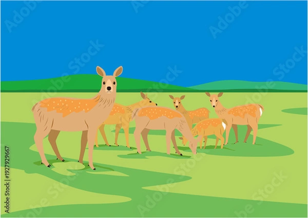 Obraz 夏の湿原にいるエゾシカの雌の群れのイラスト