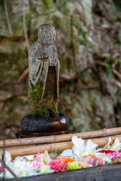 Obraz 鎌倉26223　安国論寺11　花手水